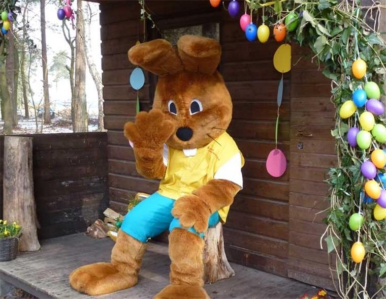 Oster-Aktion in Ostereisteidt: Hanni Hase versteckt Schoko-Eier im Wald Hanni Hase geht am Ostersonntag, 1. April, mit Kindern auf Osternest-Suche in Ostereistedt.
