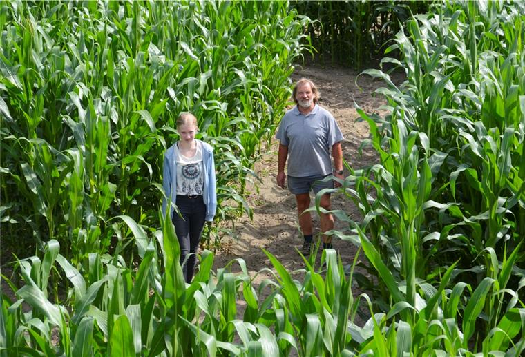 Mais-Labyrinth in Rockstedt öffnet die Pforten Hans-Heinrich Heins mit Nachbarstochter und Helferin Jeanette Eichhorn auf einem der Wege durchs Maislabyrinth. Am 25. Juli um 13 Uhr eröffnet Heins die Saison, die bis zum 4. Oktober andauern soll.
