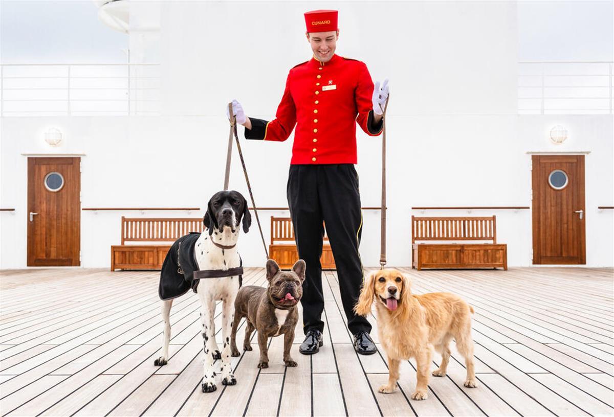 Ein Mensch mit drei Hunden auf einem Kruezfahrtschiff.