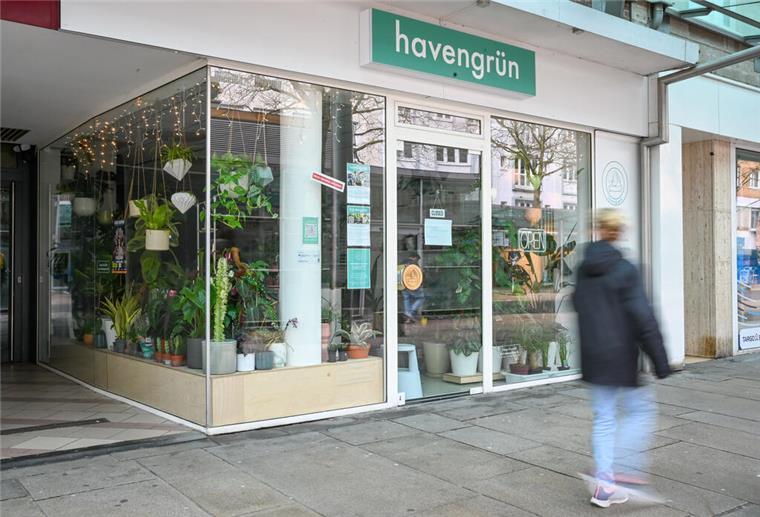 Geheimtipp! Im neu eröffneten „Havengrün“ bekommt ihr wahre Pflanzen-Raritäten Havengrün bietet ein Sortiment, das man nicht woanders findet.