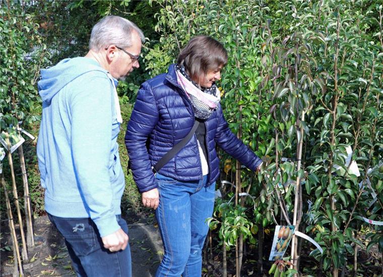 Jetzt ist für Hobbygärtner Pflanzzeit Heike und Wolfgang Tietjen haben drei Birnen-Favoriten, denn ein solcher Baum fehlt noch im Garten des Ehepaares.