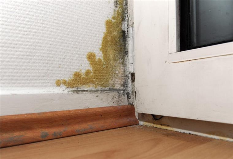 Mietminderung: In diesen Fällen dürfen Mieter sofort weniger zahlen Ein Schimmelfleck an einer Balkontür zu sehen.