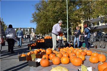 Herbstfest in der Grashoffstraße und Heideblütenfest auf dem Konrad-Adenauer-Pla...