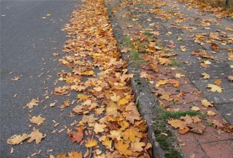 Anlieger müssen Laub beseitigen: Samtgemeinde Zeven verweist auf Pflichten Herbstlaub an Geh- und Radwegen. In der Regel müssen Anwohner das Laub beseitigen.