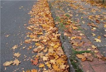 Herbstlaub an Geh- und Radwegen. In der Regel müssen Anwohner das Laub beseitigen.