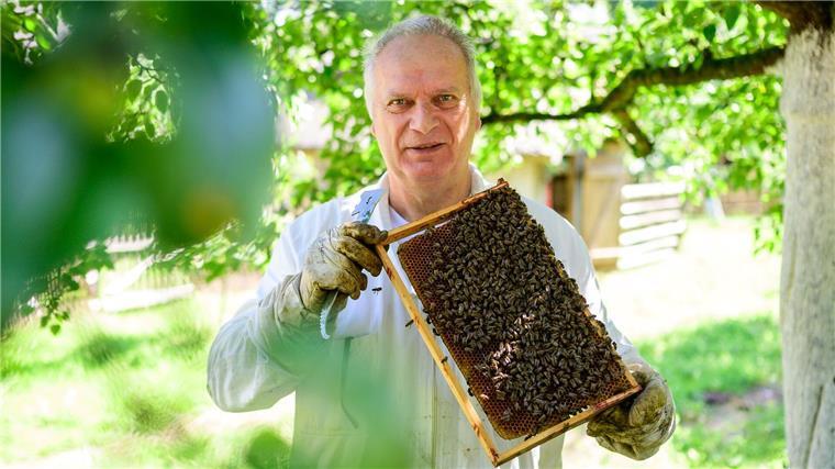 Hermann Benesch, Vorsitzender des Imkervereins am Kiekeberg e.V., hält auf dem Museumsgelände einen Rahmen mit Bienenwaben in den Händen. 