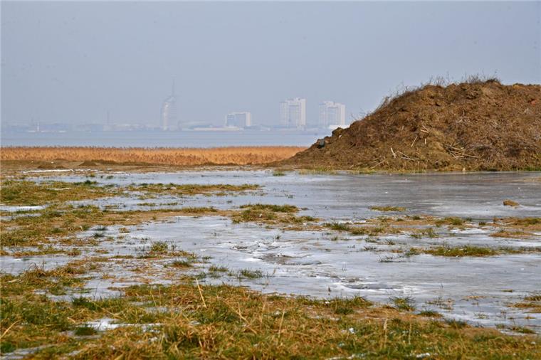 Bremerhaven: Gericht entscheidet über Zukunft des Offshore-Terminals Heute wird das Verwaltungsgericht Bremen entscheiden, ob die Baugenehmigung für den Offshore-Terminal Bremerhaven rechtmäßig war.