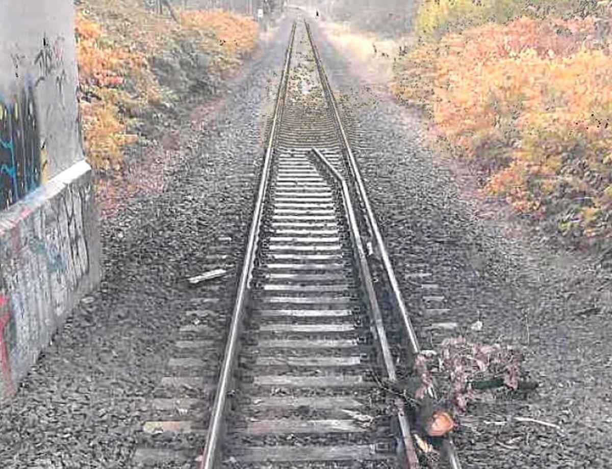 Mann (39) schmeißt Äste und Metall auf Bahnstrecke Hier hat der Täter Äste direkt auf die Schiene gelegt.
