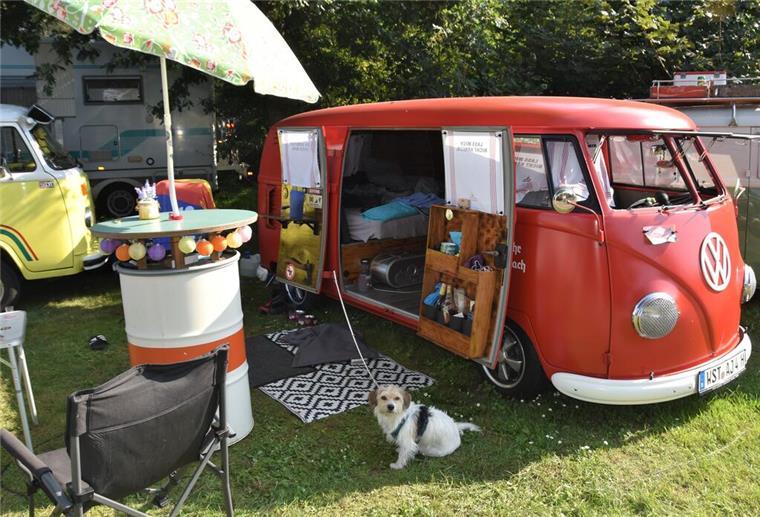 Hier kommen Bulli-Fans auf ihre Kosten: Zahlreiche der berühmten T-Modelle waren am Wochenende in Sandstedt zu bestaunen.