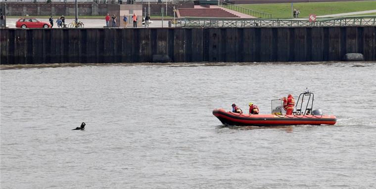 Niedersachsen: Deutlich mehr Badetote als 2017 Hier übt Feuerwehr nur die Rettung eines Schwimmers aus der Weser vor der Seebäderkaje. In Niedersachsen gab es in den vergangenen Jahr aber auch viele Ernstfälle.