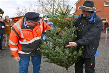Hingucken lohnt sich immer: Meent Seegers (links) ließ sich in Padingbüttel von Harm-Henrik Siebs beim Kauf seines Weihnachtsbaums beraten. Foto: Ulich