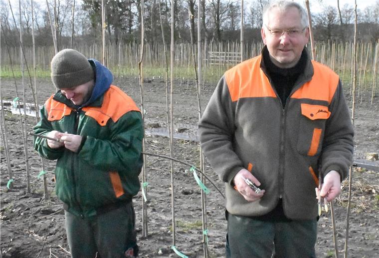 So kommt ihr mit dem richtigen Schnitt zum Lieblingsapfel Hinrich Postels (rechts) und ein Mitarbeiter veredeln an einem trockenen Februartag die Kirschen auf dem Gärtnerhof in Badenstedt.
