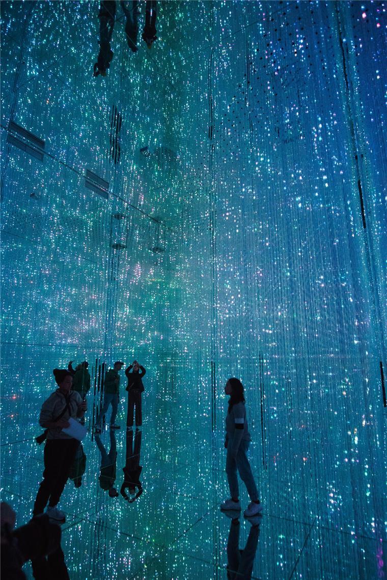 Ist das die Zukunft der Kunst auch in Hamburg? - Digital Art Museum in Tokio: Hinter dem Museum Borderless Tokyo steht das Künstlerkollektiv teamLab.