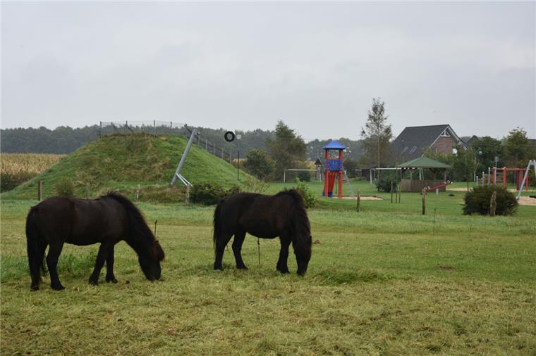 Klein Meckelsen: Häuschen im Grünen bald wieder möglich Hinter dem Spielplatz, dort wo heute noch Mais wächst, soll das Baugebiet in Klein Meckelsen ausgewiesen werden.