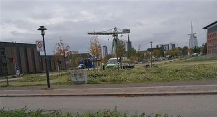 Hinter der Agentur für Arbeit in Bremerhaven wurden 33 Bäume gefällt.