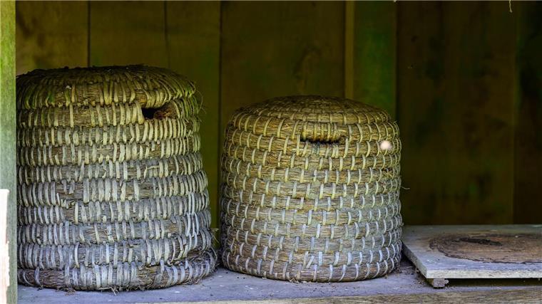 Historische Bienenstöcke stehen auf dem Gelände vom Freilichtmuseum am Kiekeberg. Das eigene Gemüse züchten und ein Bienenvolk halten, liegt im Trend - immer mehr Menschen imkern.