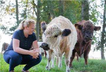 Hjördis Plate züchtet zottelige Galloways. Auf Weiden rund um ihren Hof in Otterndorf werden die Tiere groß.