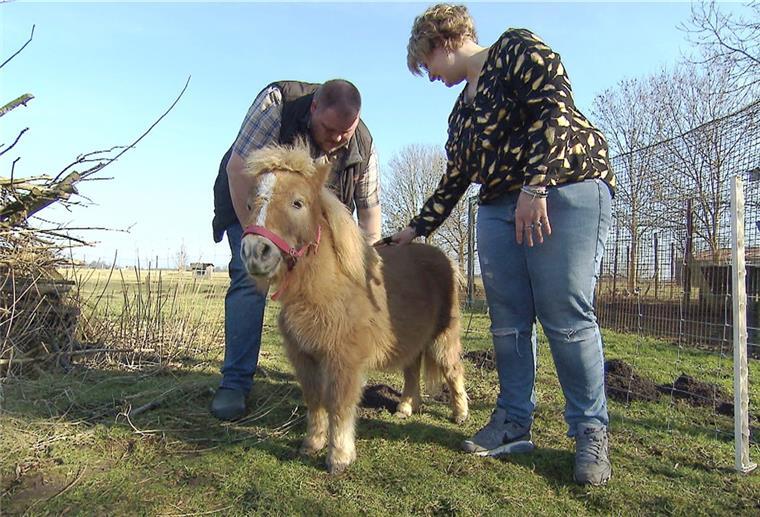 Bauer sucht Frau: Leif lebt nun nicht mehr alleine Hobby-Geflügelzüchter Leif (33) aus Morgenland wohnt nicht mehr alleine auf seinem Hof. Stephanie (29) ist zu ihm gezogen. Das Pony ist ein Geschenk an seine Liebste.