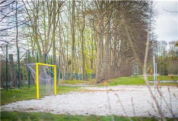 Hochgewachsene Buchen säumen den Sportplatz an der Jahnwiese.