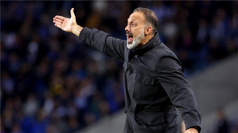 Hoffenheim gegen Lyon: „Verschenken keinen Wettbewerb“ Hoffenheims Trainer Pellegrino Matarazzo trifft mit seinem Team in der Europa League auf Olympique Lyon.