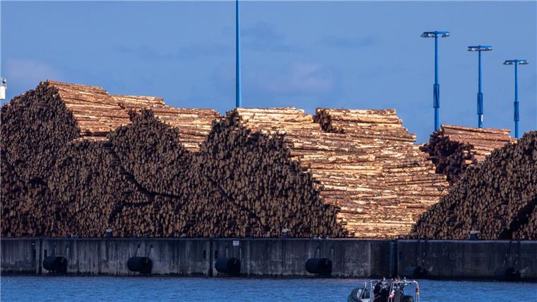 Umwelthilfe klagt gegen Pestizideinsatz bei Holztransport Holz wird vor dem Transport begast, um es etwa vor Borkenkäfern zu schützen.