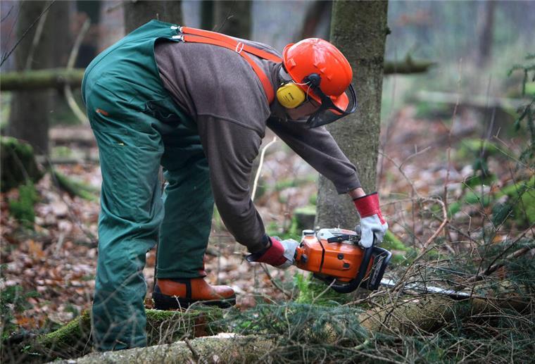 Holzfäller, wie dieser hier, sind ab Mitte August im Holzurburger Moor wieder dabei, hunderte Nadelbäume zu fällen (Archivbild).