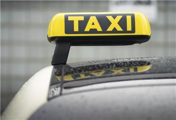 Taxi mit Hund: Was erlaubt ist und was nicht