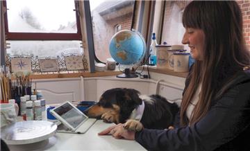 Hund Kuddel hat sogar seinen eigenen Twitteraccount.