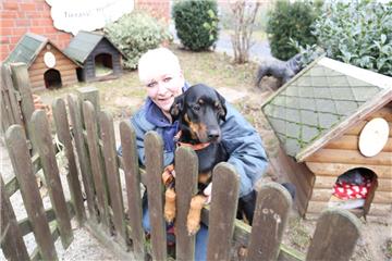 Hund Rudi wurde herrenlos bei Eiseskälte in Lübberstedt aufgegriffen - nun beginnt die Suche nach dem Besitzer.