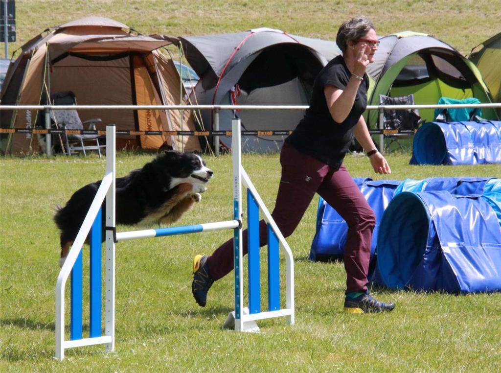 Hund und Frauchen sind hier ein eingespieltes Team mit gleichem Tempo. Foto: Bau...