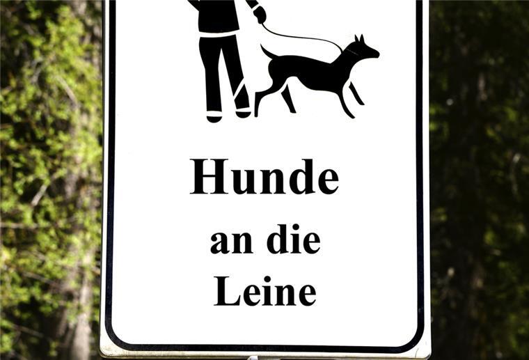 Hunde an die Leine: Ob das in bestimmten Bereichen Stadlands ganzjährig gelten soll, diskutieren nicht nur die Gemeinderatsmitglieder.