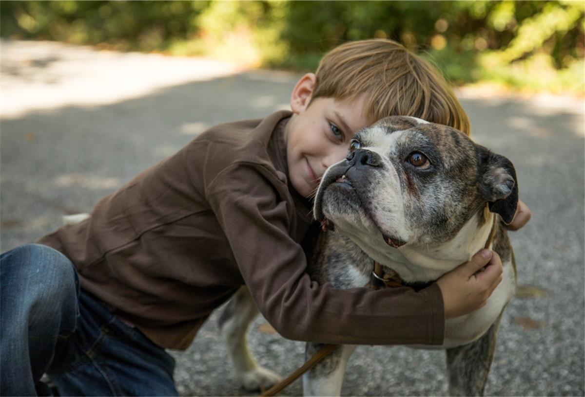 So finden Besitzer einen Namen fürs neue Tier Hunde bekommen oft menschliche Namen: Das zeigt, wie eng die Tier-Mensch-Beziehung geworden ist.