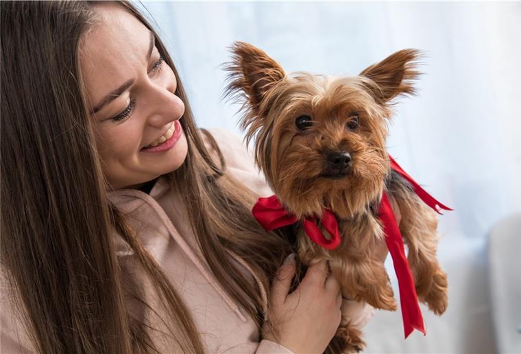 Weihnachten: Lieber Patenschaft als ein Tier verschenken Hunde und Co. sollten nicht einfach so verschenkt werden, warnen Tierschützer. Denn mit einem Tier gehen auch viel Verantwortung und Verpflichtung einher, das sollte man vorher gut abwägen.