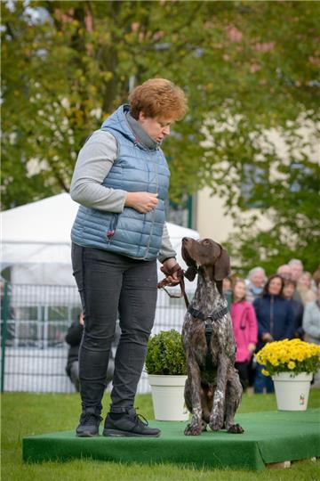 Hundeschau in Bad Bederkesa. Foto: Schimanke-f