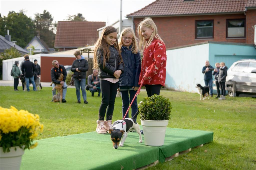 Hundeschau in Bad Bederkesa. Von links: Julia, Ida und Emma mit Joker. Foto: Sch...
