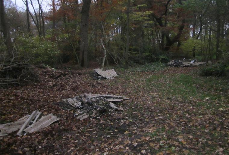 Wald als Mülldeponie missbraucht: Asbestplatten illegal entsorgt Illegale Entsorgung von Eternit-Asbestplatten im Wald.