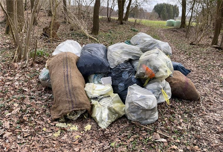 Illegaler Müll im Piepenholz in Beverstedt – Ablagerungen wie diese verärgern den BUND.