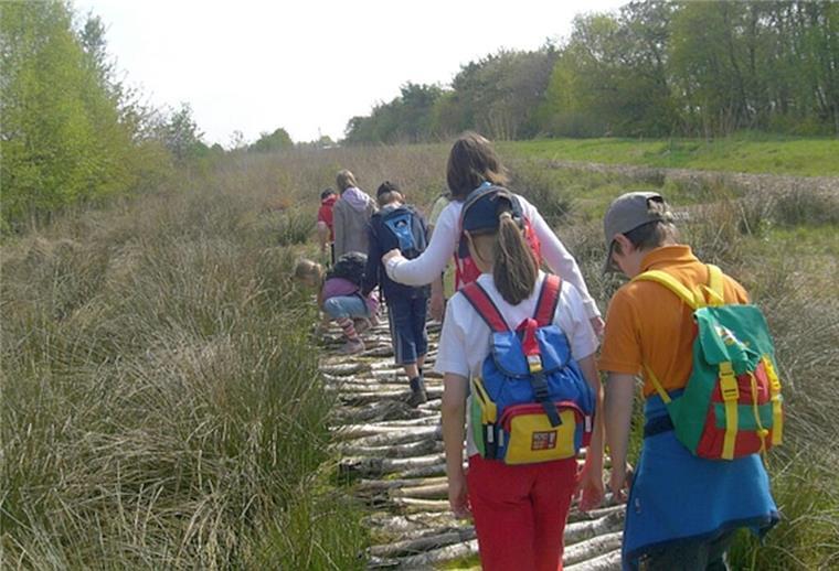 Das Ahlenmoor ist jetzt offiziell ein grünes Klassenzimmer Schüler unterwegs im Ahlenmoor