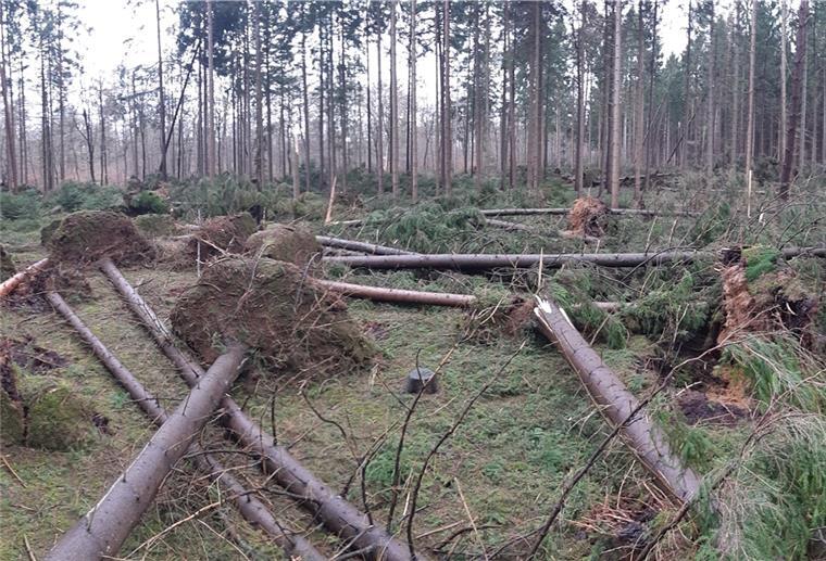 Cuxland: Förster warnen vor Betreten der Wälder Im Bereich der Revierförsterei Holzurburg (Geestland) sind vor allem Fichten vom Orkan in den vergangenen Tagen samt Wurzelballen aus dem Boden gerissen worden.