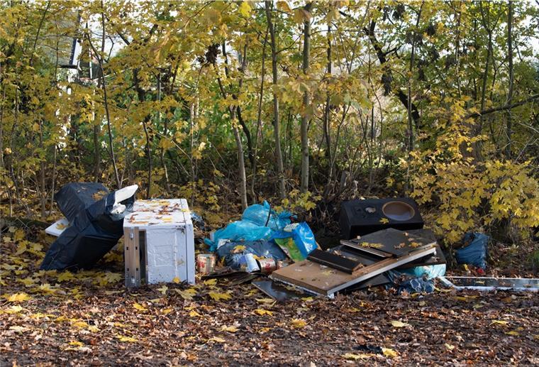Vermüllter Waldweg: Illegale Abfallentsorgung in Geestland Sperrmüll im Wald