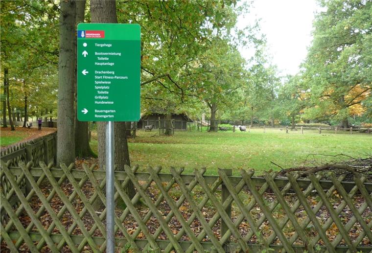 Fünf Millionen Euro für Klimaprojekt in Bremerhaven Im Bürgerpark muss der Baumbestand an den KLimawandel angepasst werden.