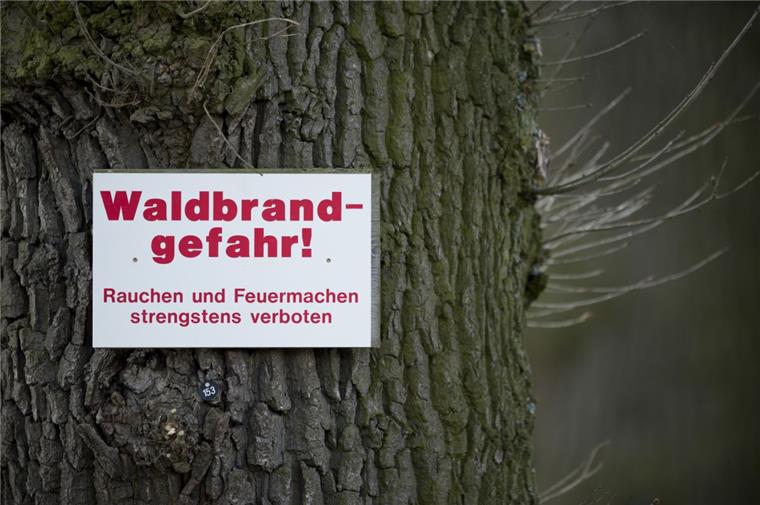 Hitze im Cuxland: Landkreis warnt vor Waldbrandgefahr Im Cuxland herrscht wegen der Hitze Waldbrandgefahr.