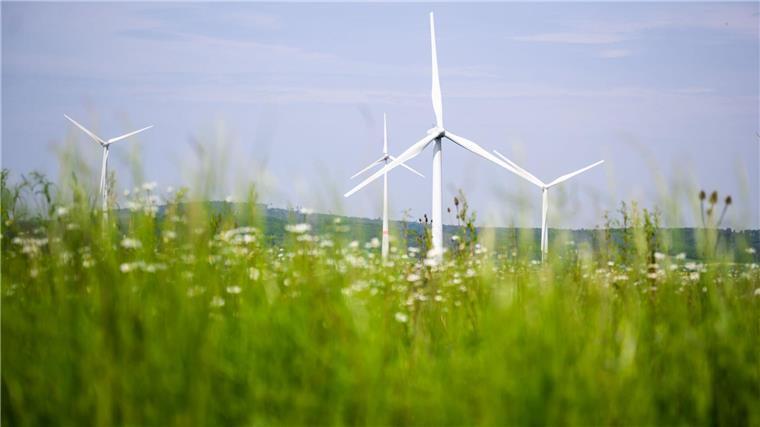 Niedersachsen legt bei Ausbau der Windenergie weiter zu Im ersten Halbjahr wurden 53 neue Windräder in Niedersachsen gebaut. (Archivbild)
