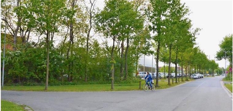Darum können sich Radfahrer in Schiffdorf freuen Im Gewerbepark "Am Fernsehturm" in Schiffdorf soll ein Rad- und Gehweg gebaut werden.