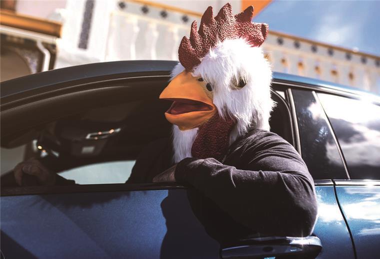 Gockel im Auto