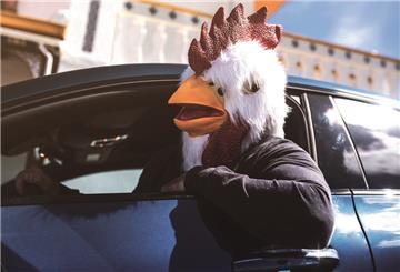 Gockel im Auto