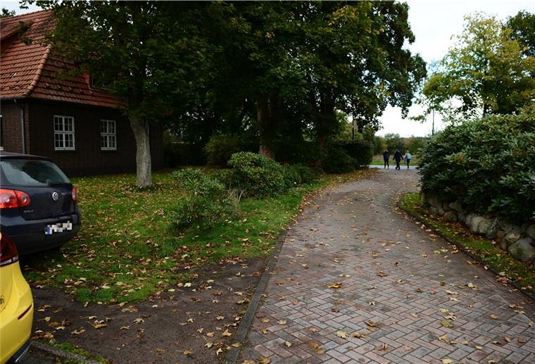 Sellstedt: 12-Jährige trifft auf Wölfe Ein Weg in Sellstedt.