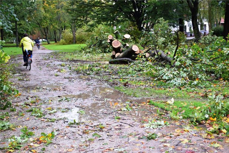 Sturm hat in Nordenhamer Parkanlagen schwere Schäden angerichtet Im Hochzeitswäldchen haben Radfahrer wieder freie Fahrt. Doch der Weg steht noch unter Wasser. Wer dort langfährt, muss also aufpassen. Es besteht Rutschgefahr.