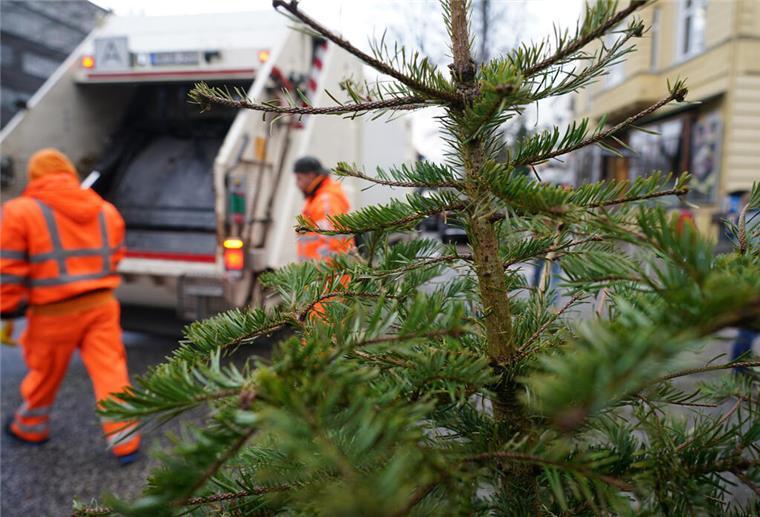 Ein Weihnachtsbaum steht zur Entsorgung durch die Stadtreinigung am Straßenrand