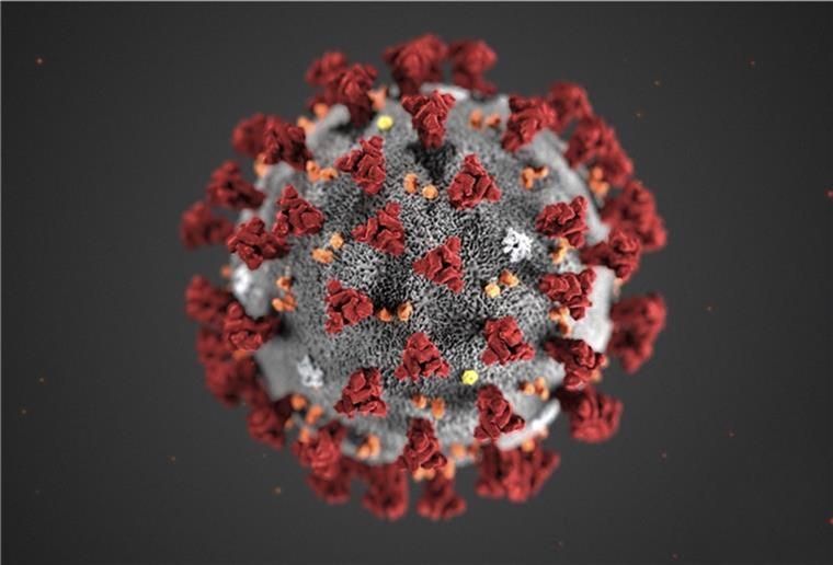 Corona: Vier Tote im Landkreis Cuxhaven Im Landkreis Cuxhaven sind vier Menschen im Zusammenhang mit dem Coronavirus verstorben.